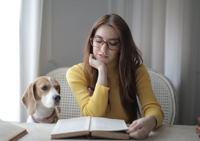 How to educate your dog