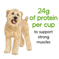 Thumbnail for Purina® Beneful® Healthy Weight Dry Dog Food - Chicken