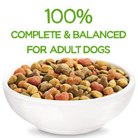 Thumbnail for Purina® Beneful® Healthy Weight Dry Dog Food - Chicken