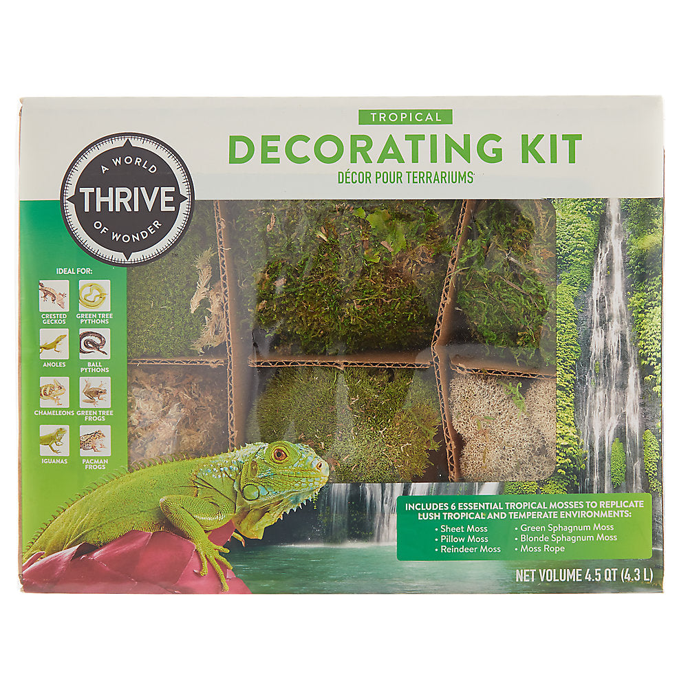 Thrive Tropical Reptile Decorating Kit
