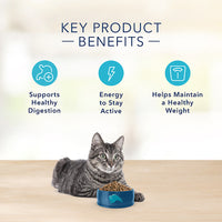 Thumbnail for Blue Buffalo® Basics™ Senior Dry Cat Food - Grain Free, Turkey