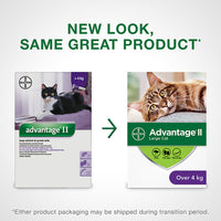 Thumbnail for Advantage® II Large Cat Once-A-Month Topical Flea Treatment - Over 4 kg