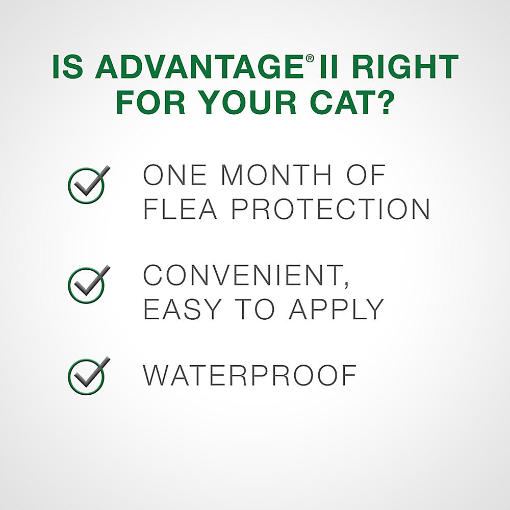 Advantage® II Large Cat Once-A-Month Topical Flea Treatment - Over 4 kg