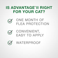Thumbnail for Advantage® II Large Cat Once-A-Month Topical Flea Treatment - Over 4 kg