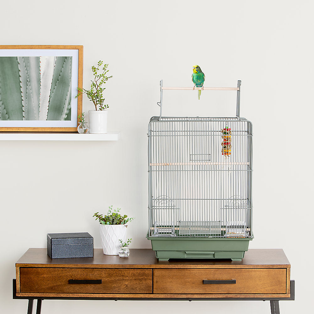 All Living Things® Perch & Play Bird Home