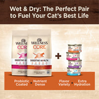 Thumbnail for Wellness® CORE® Adult Cat Food Natural, Digestive Health, Chicken and Rice