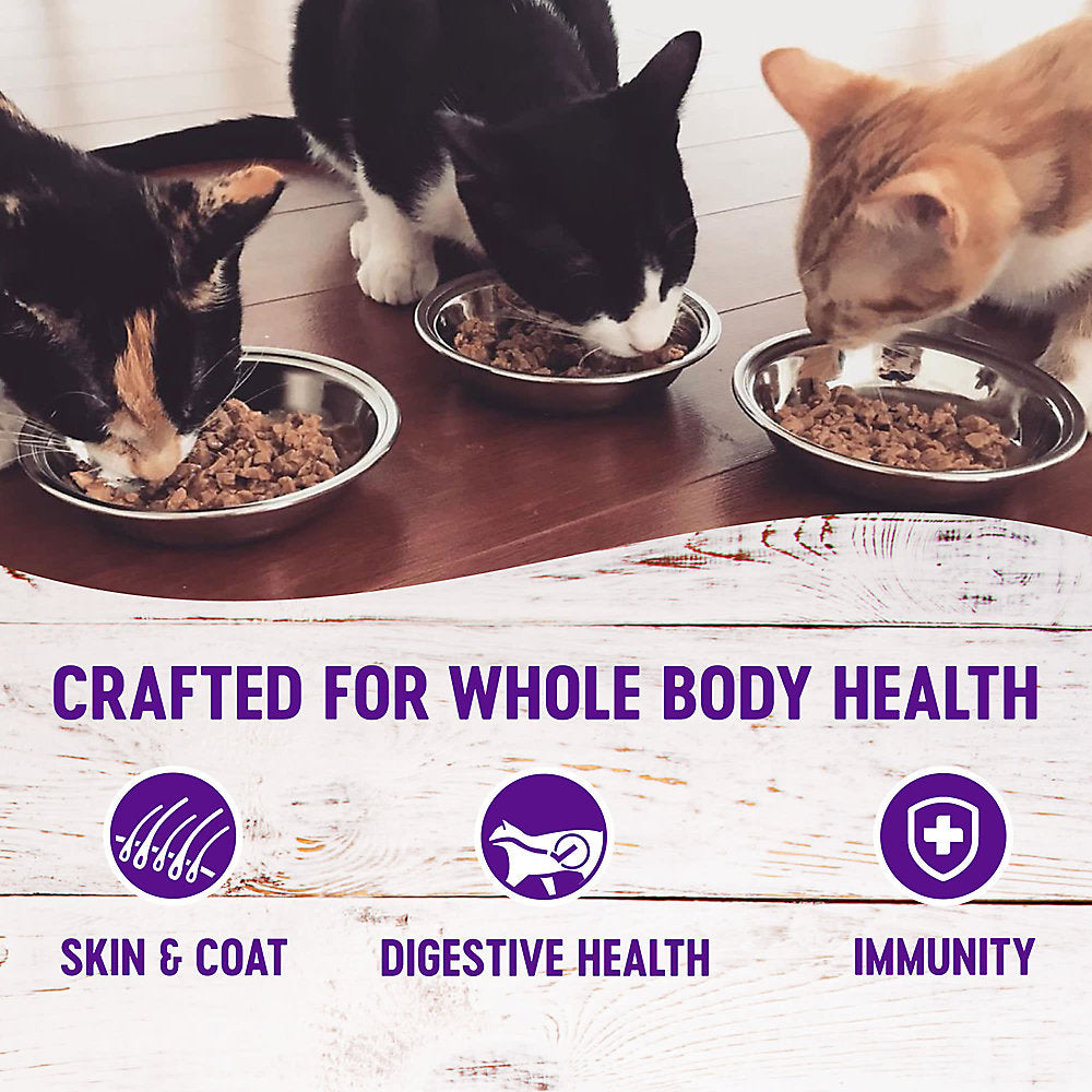 Wellness® Complete Health ™ Wet Cat Food Variety Pack - Pate