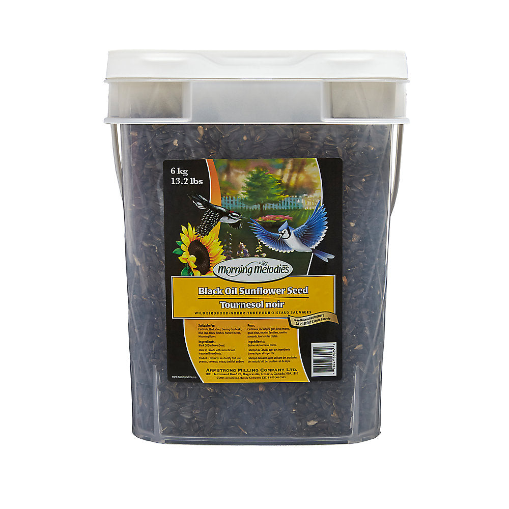 Morning Melodies Black Oil Sunflower Seeds Pail Bird Food - 6kg